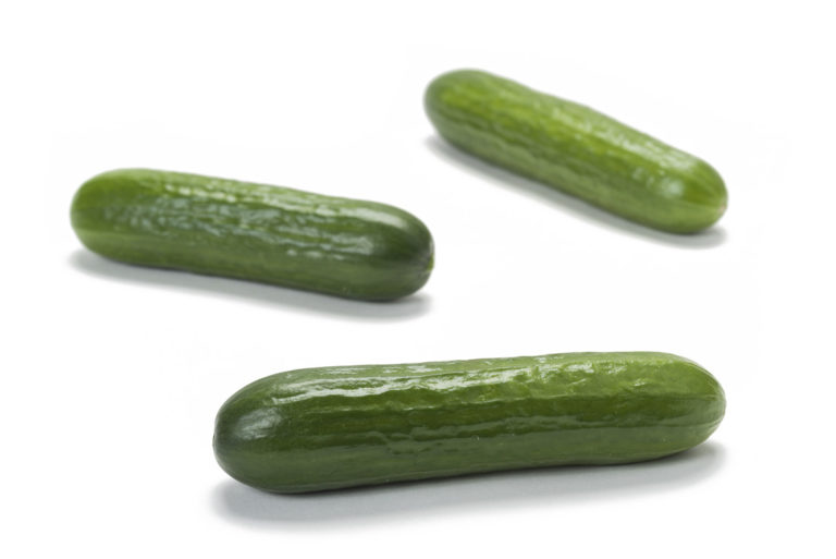 mzr3ty_mini-cucumber