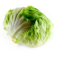 mzr3ty_iceberg_lettuce