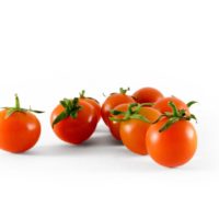 mzr3ty_nancy_cherry_tomato