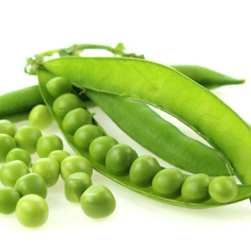 mzr3ty_peas