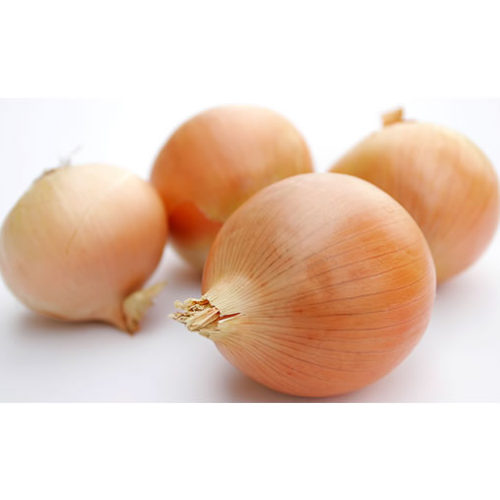mzr3ty_golden-onion