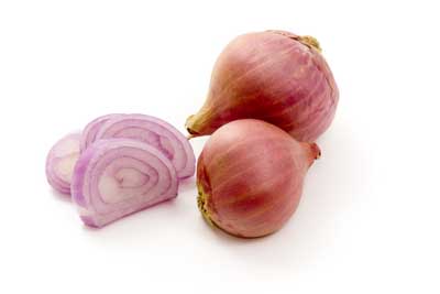 Mzr3ty_shallots