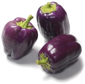 Mzr3ty_Purple bell_pepper